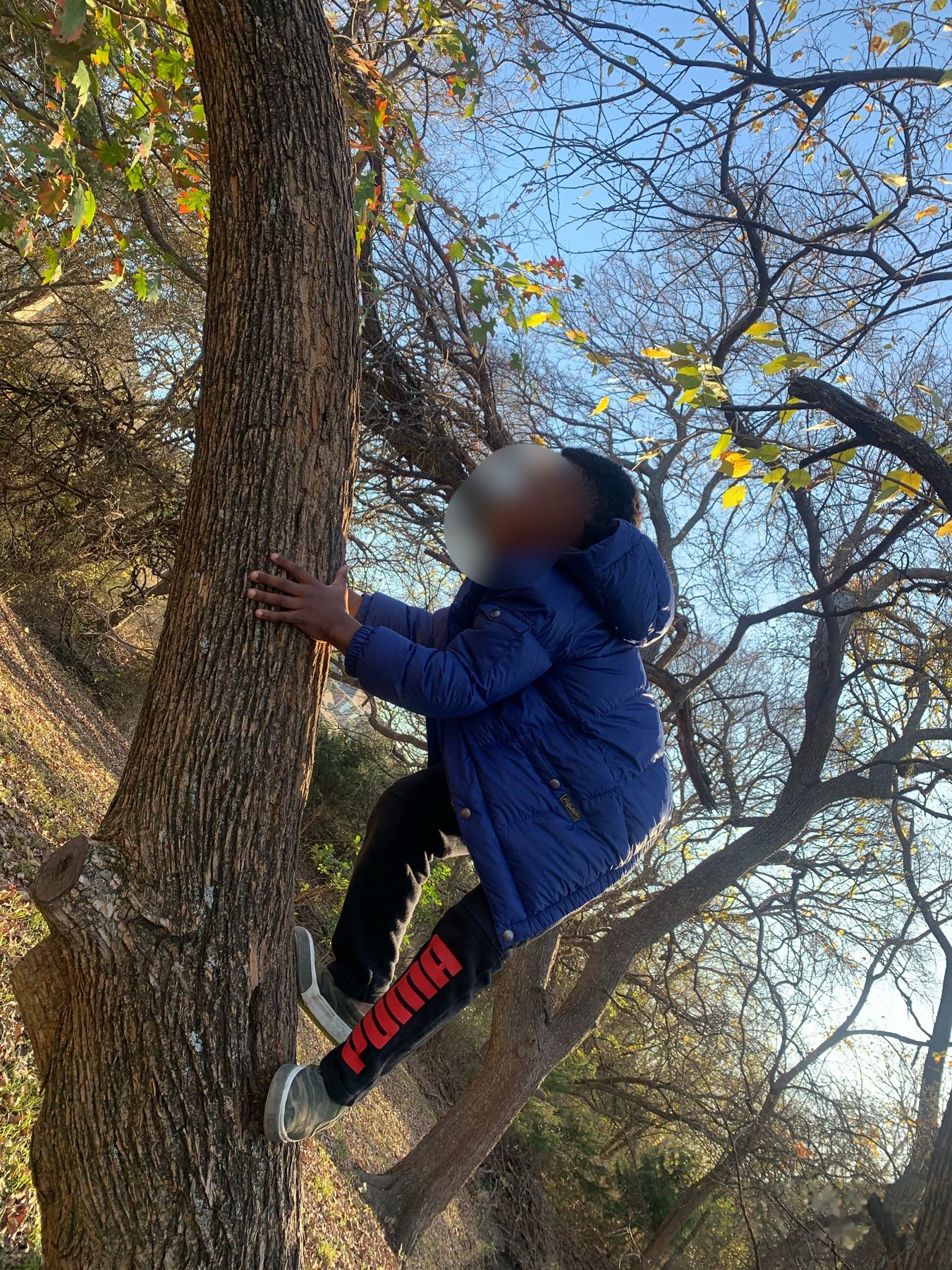 Free exploration — climbing and physical challenge